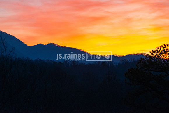 Great Smoky Mountains - Gatlinburg, TN (2020)